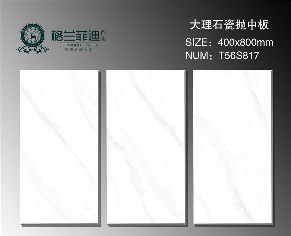 T56S817