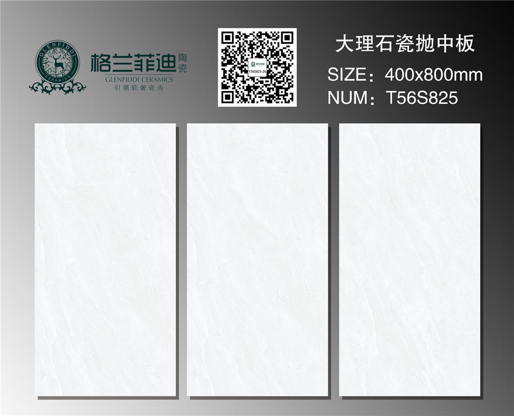 T56S825